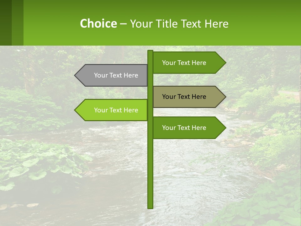 Life Senior Standing PowerPoint Template