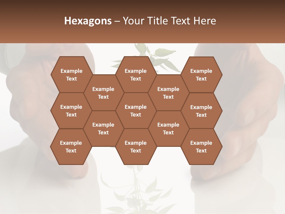 Woman Senior Older PowerPoint Template