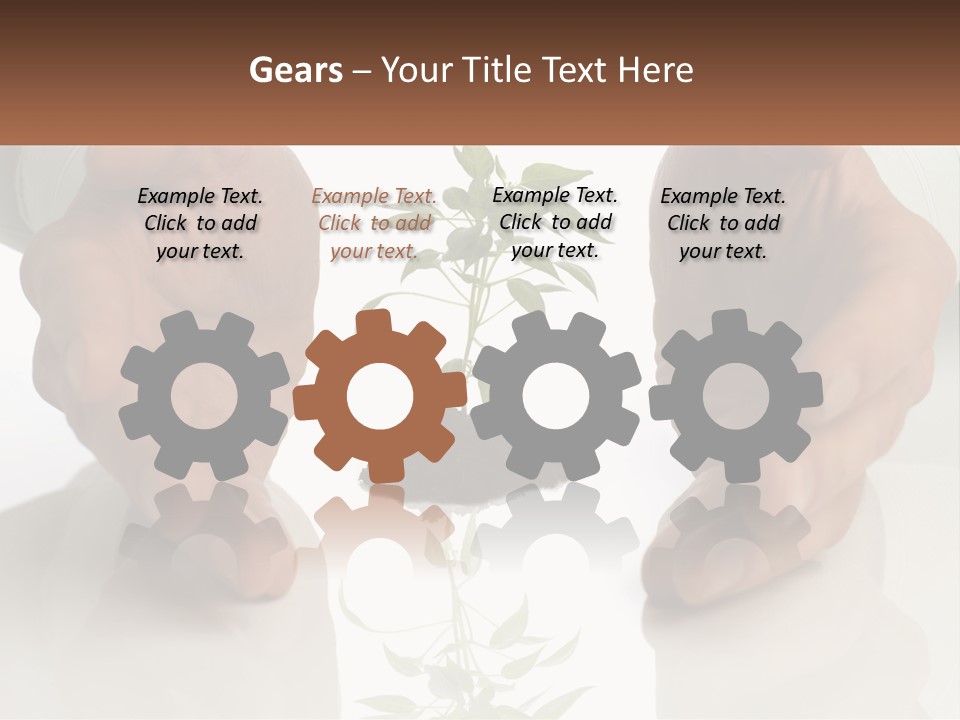 Woman Senior Older PowerPoint Template