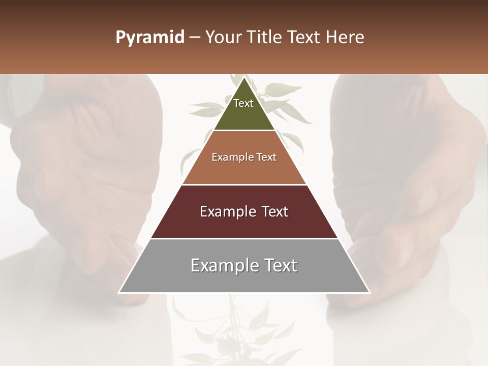 Woman Senior Older PowerPoint Template