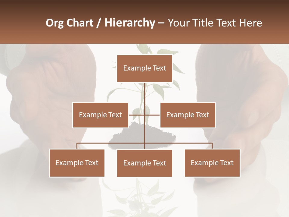 Woman Senior Older PowerPoint Template