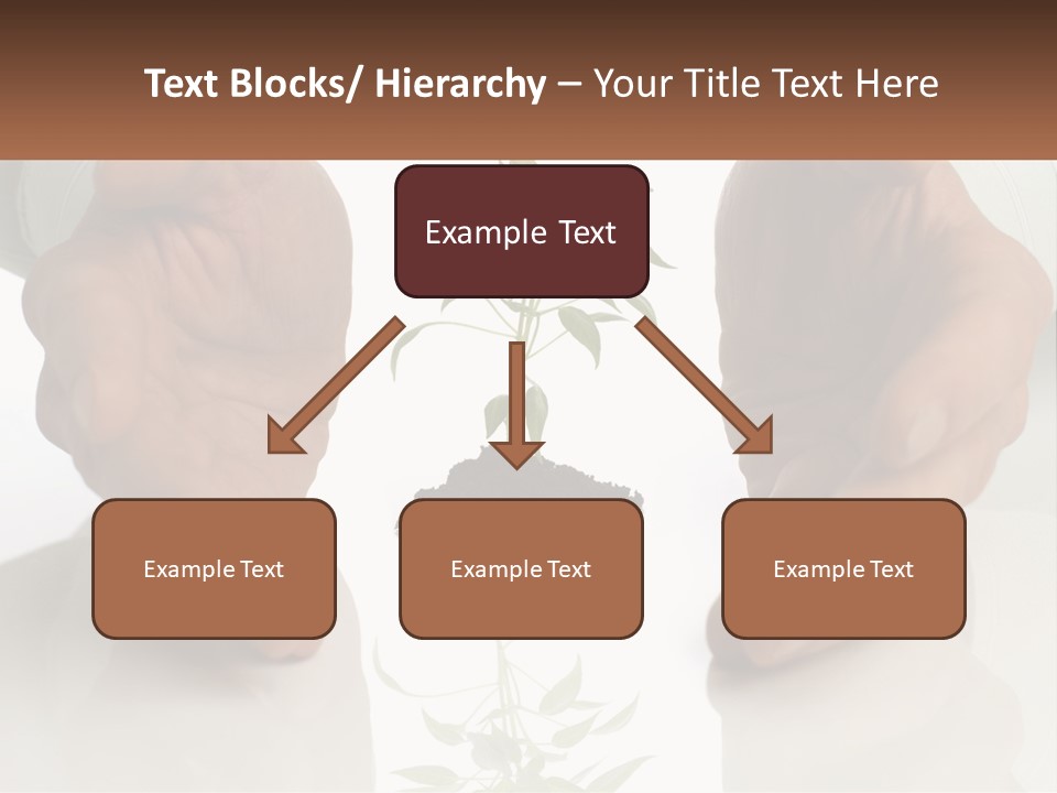 Woman Senior Older PowerPoint Template