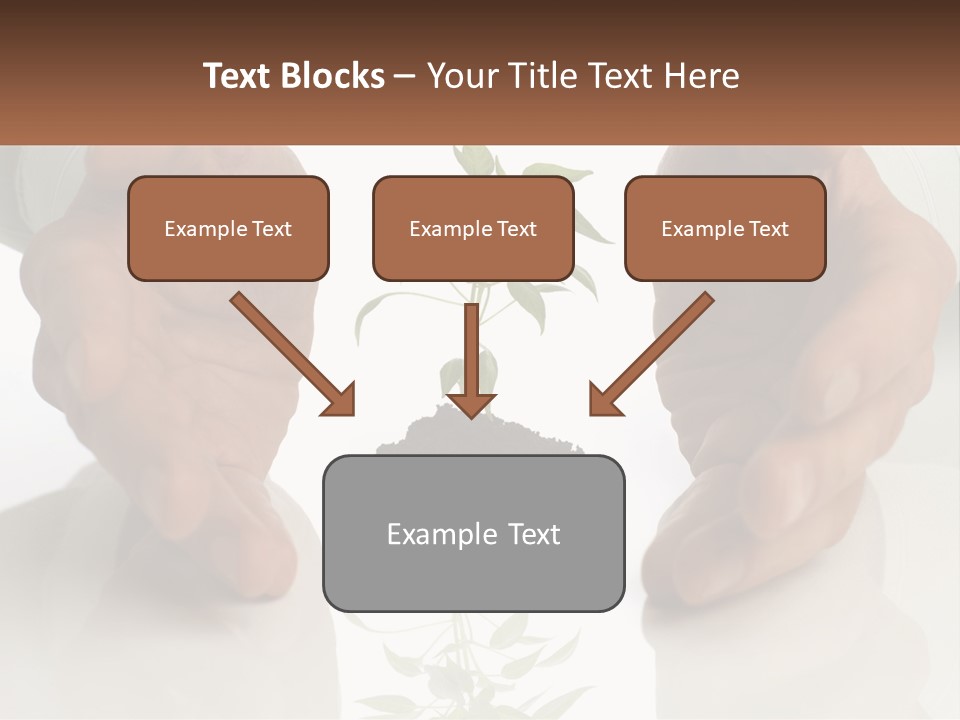 Woman Senior Older PowerPoint Template