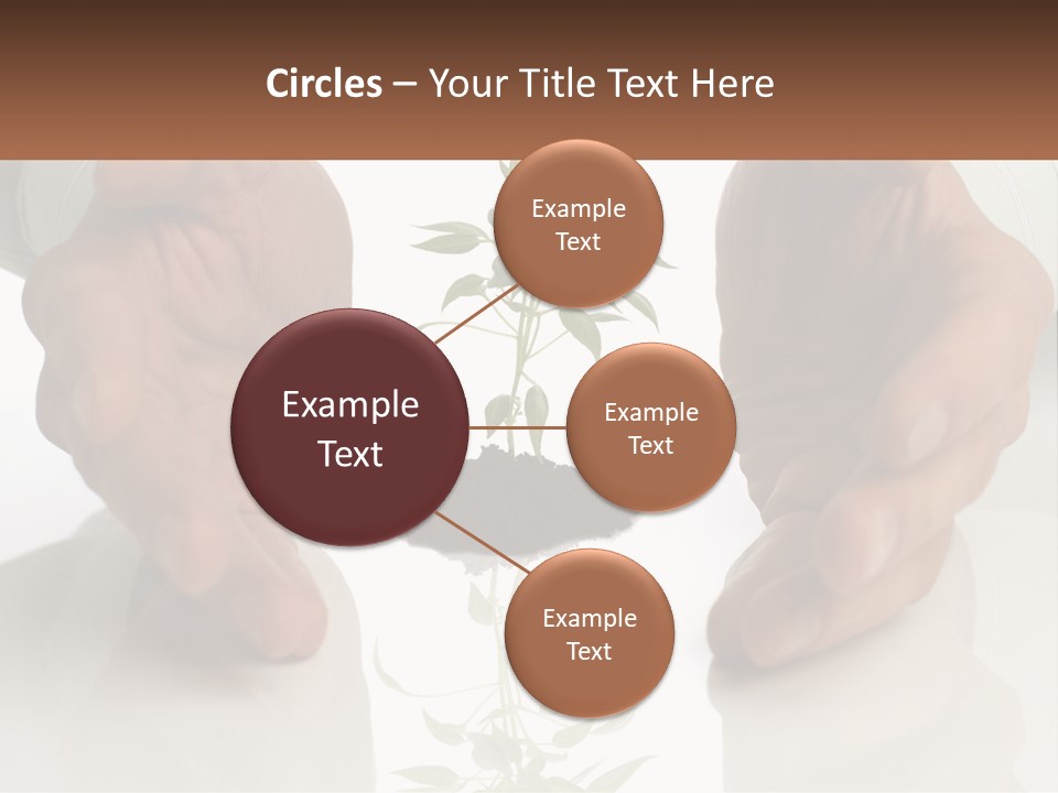 Woman Senior Older PowerPoint Template