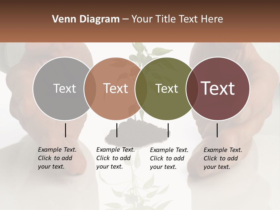 Woman Senior Older PowerPoint Template