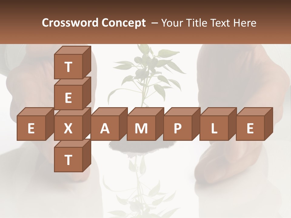 Woman Senior Older PowerPoint Template