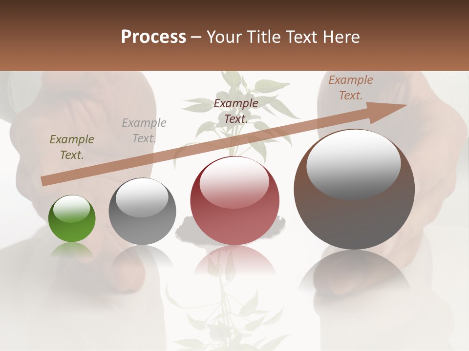 Woman Senior Older PowerPoint Template