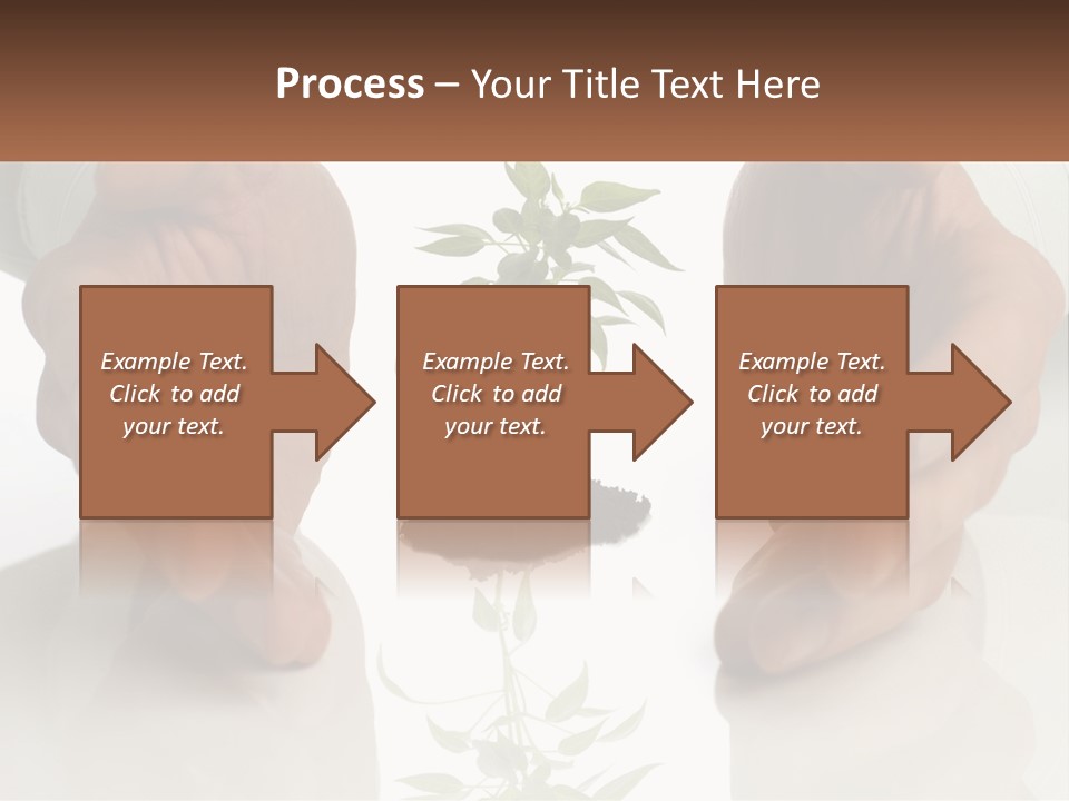 Woman Senior Older PowerPoint Template