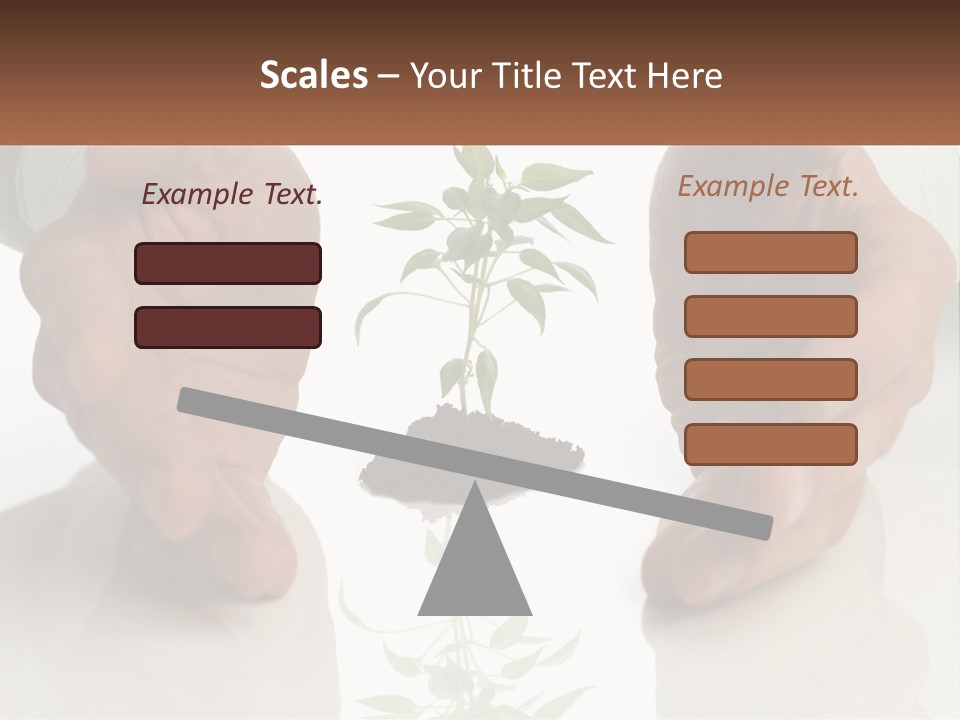 Woman Senior Older PowerPoint Template