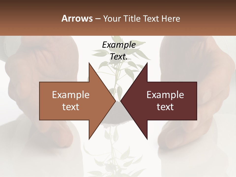 Woman Senior Older PowerPoint Template