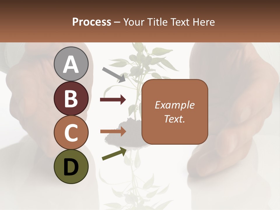 Woman Senior Older PowerPoint Template