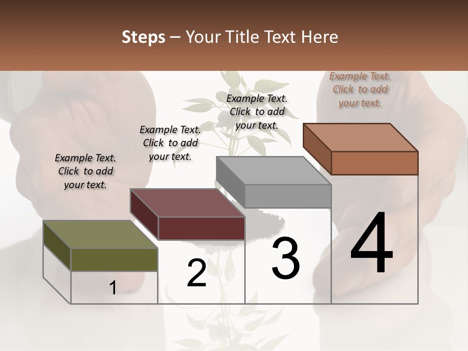 Woman Senior Older PowerPoint Template