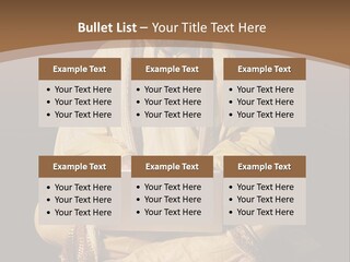 Coast Lifestyle Water PowerPoint Template