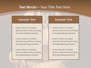 Coast Lifestyle Water PowerPoint Template