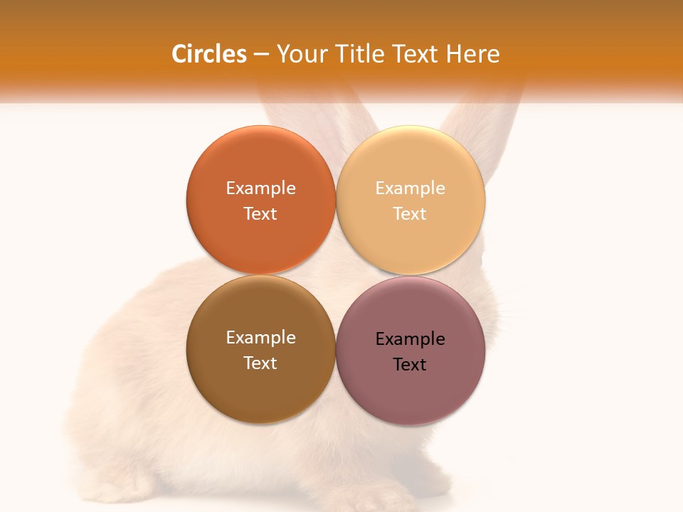 Sand Old Daughter PowerPoint Template