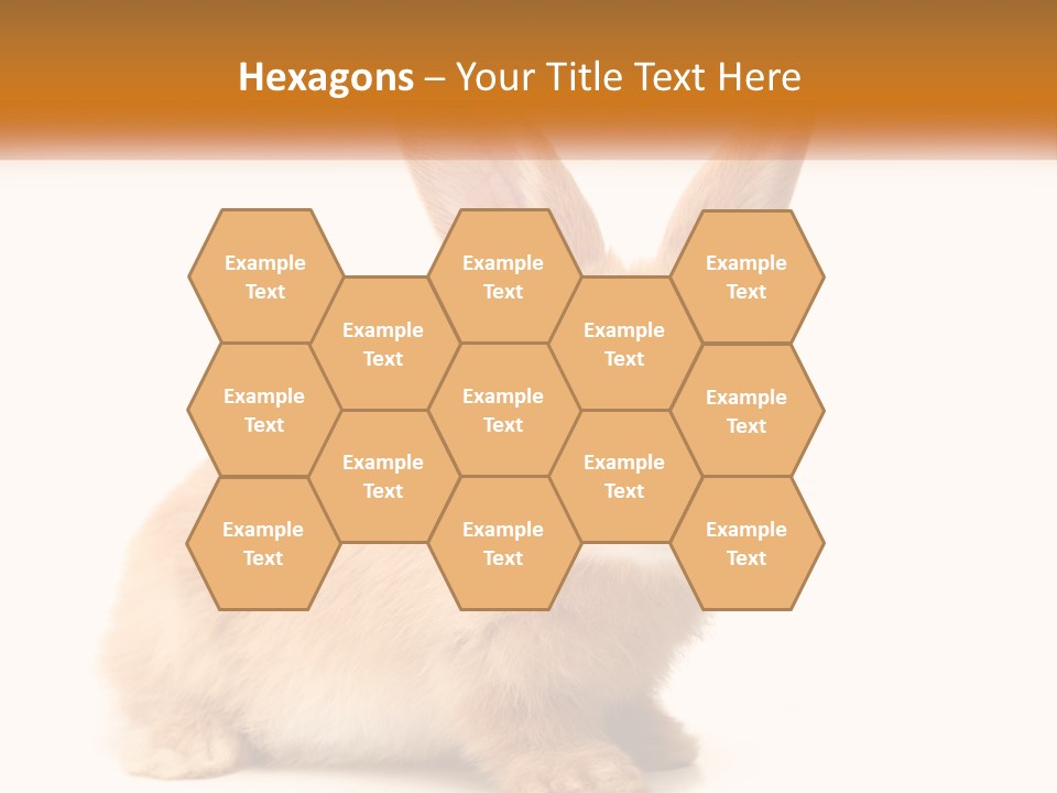 Sand Old Daughter PowerPoint Template