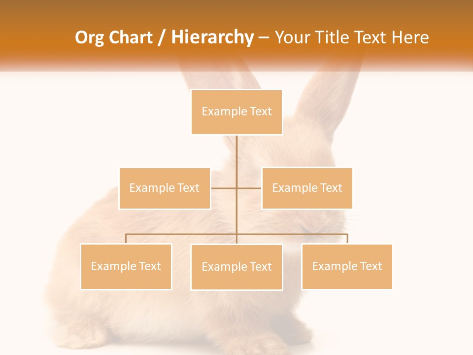 Sand Old Daughter PowerPoint Template