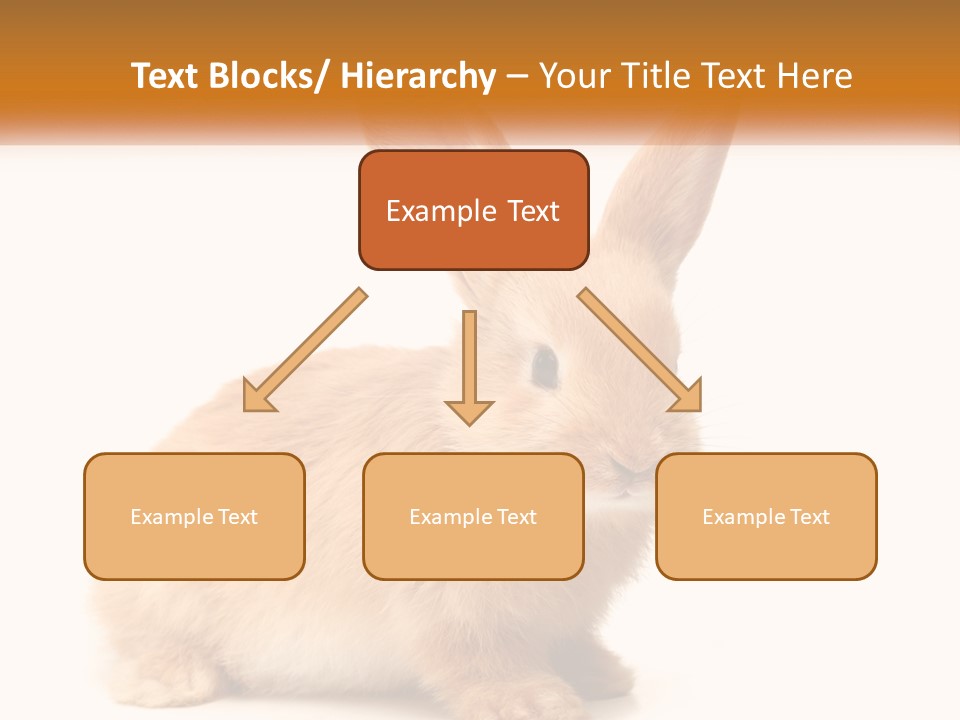 Sand Old Daughter PowerPoint Template