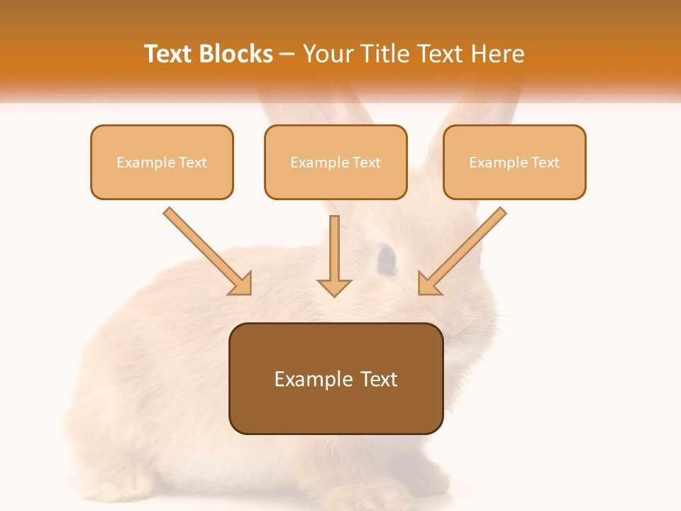 Sand Old Daughter PowerPoint Template