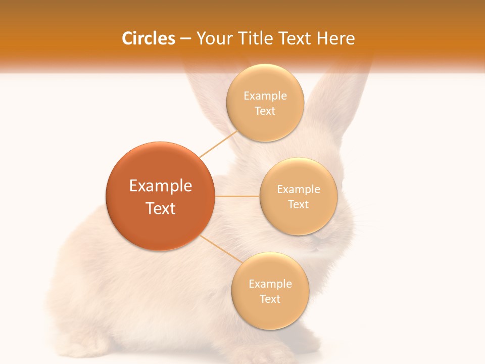 Sand Old Daughter PowerPoint Template