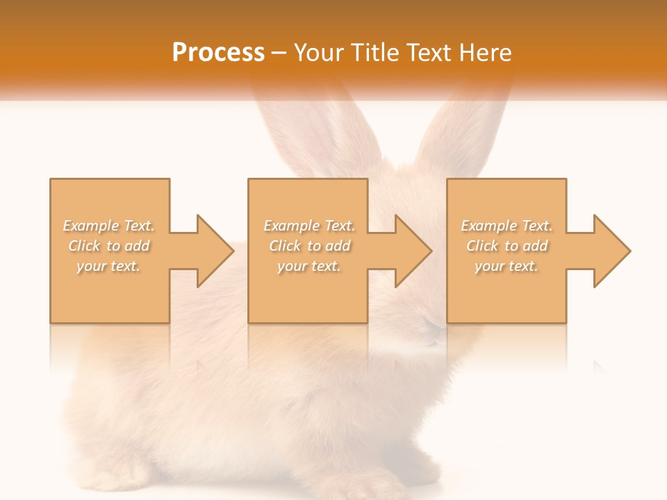 Sand Old Daughter PowerPoint Template