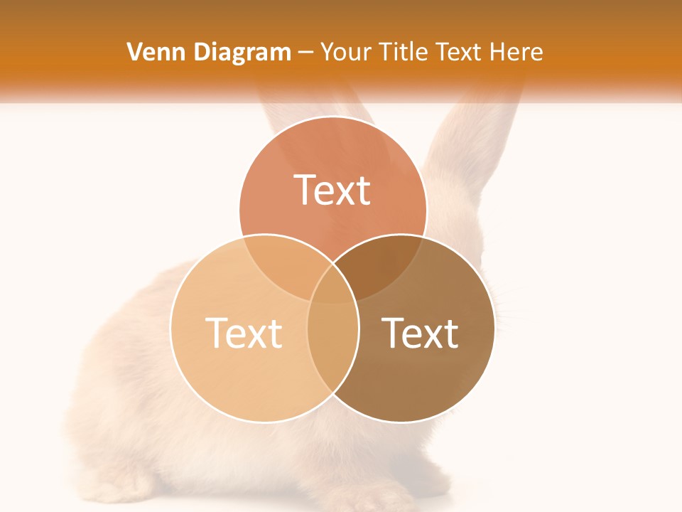 Sand Old Daughter PowerPoint Template