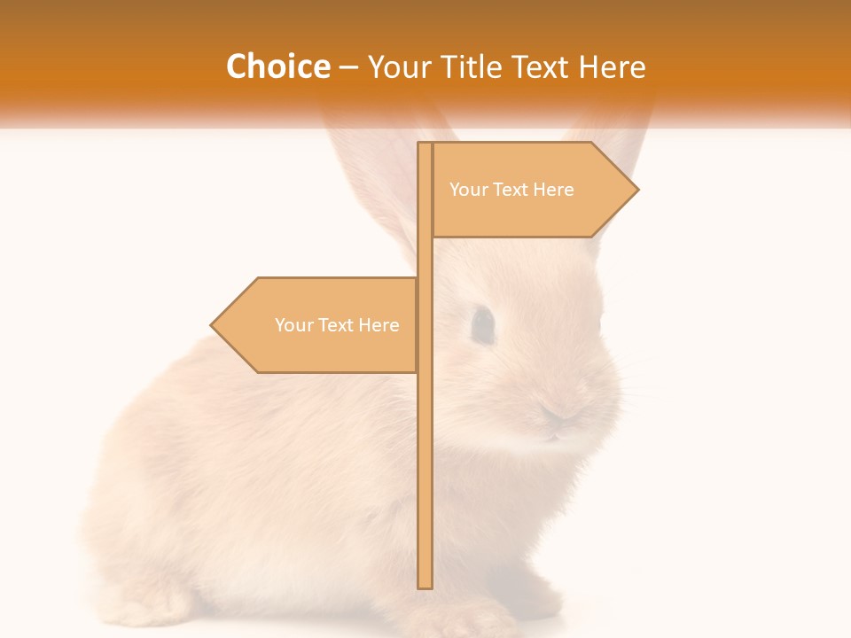 Sand Old Daughter PowerPoint Template