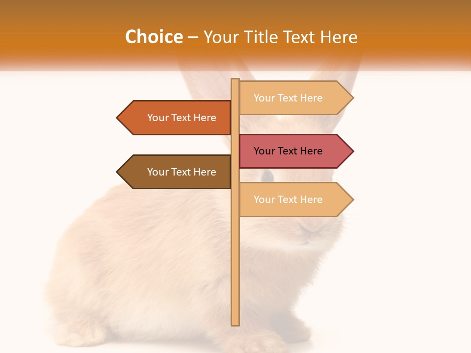 Sand Old Daughter PowerPoint Template