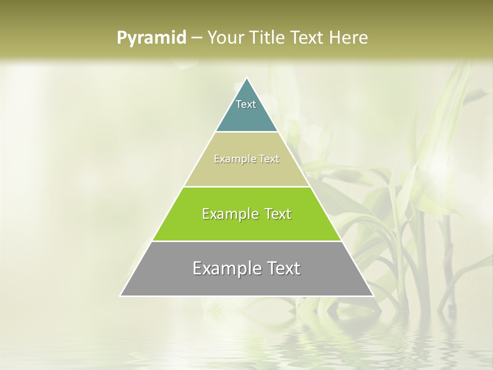 Wellness Older Peaceful PowerPoint Template