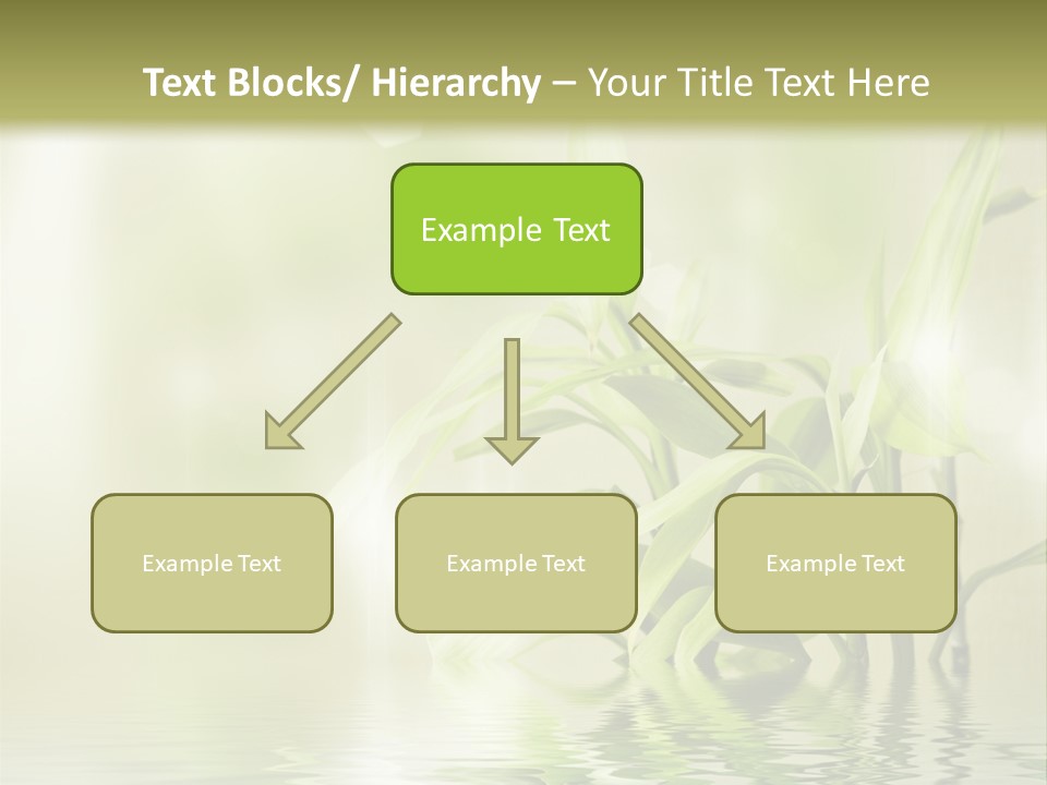 Wellness Older Peaceful PowerPoint Template