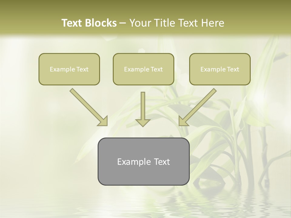 Wellness Older Peaceful PowerPoint Template