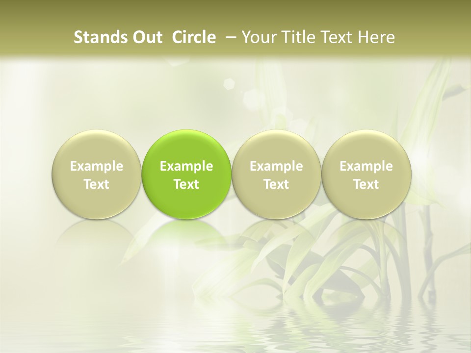 Wellness Older Peaceful PowerPoint Template