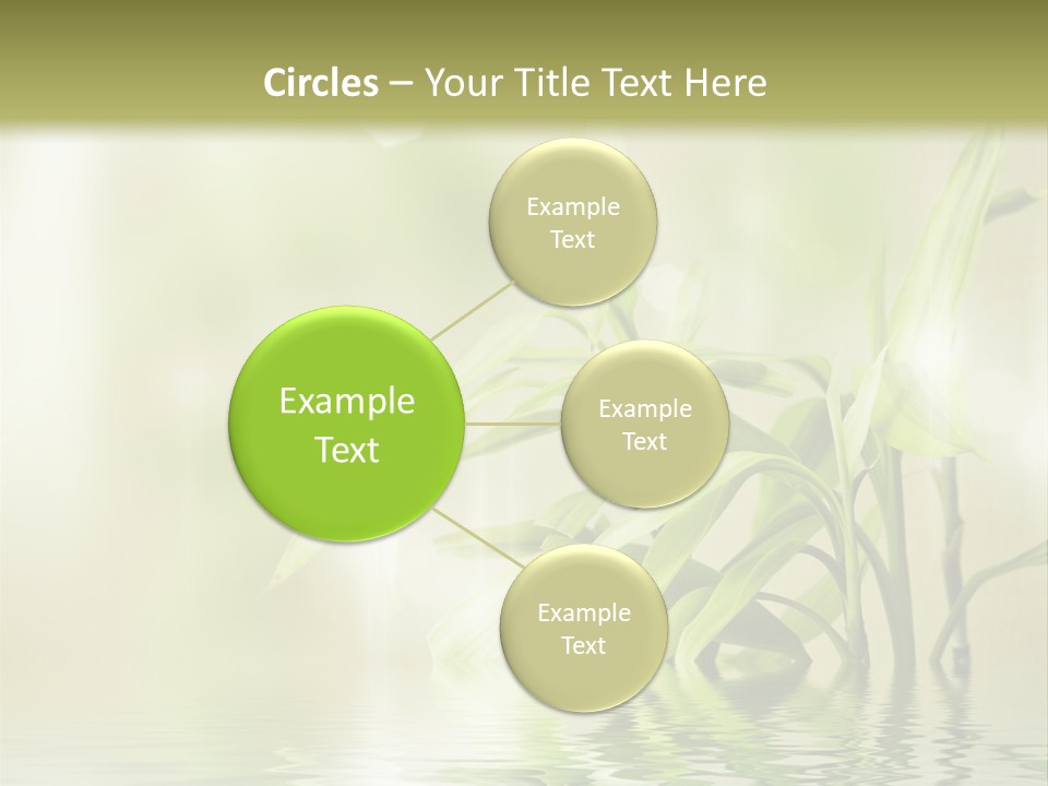 Wellness Older Peaceful PowerPoint Template