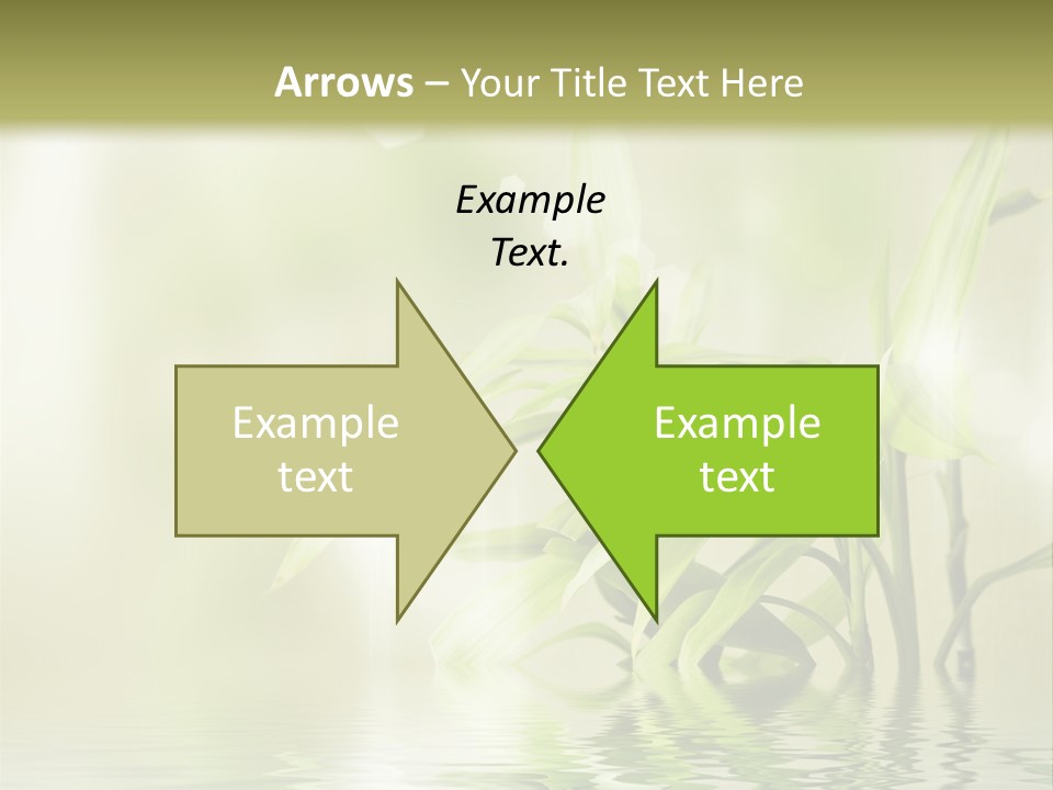 Wellness Older Peaceful PowerPoint Template