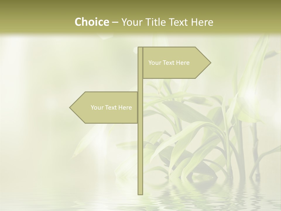 Wellness Older Peaceful PowerPoint Template