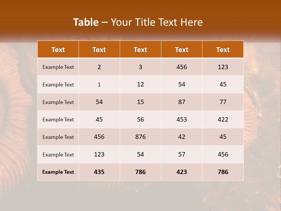 Lifestyle Old Sunrise PowerPoint Template