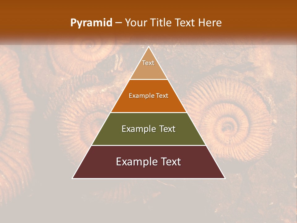 Lifestyle Old Sunrise PowerPoint Template