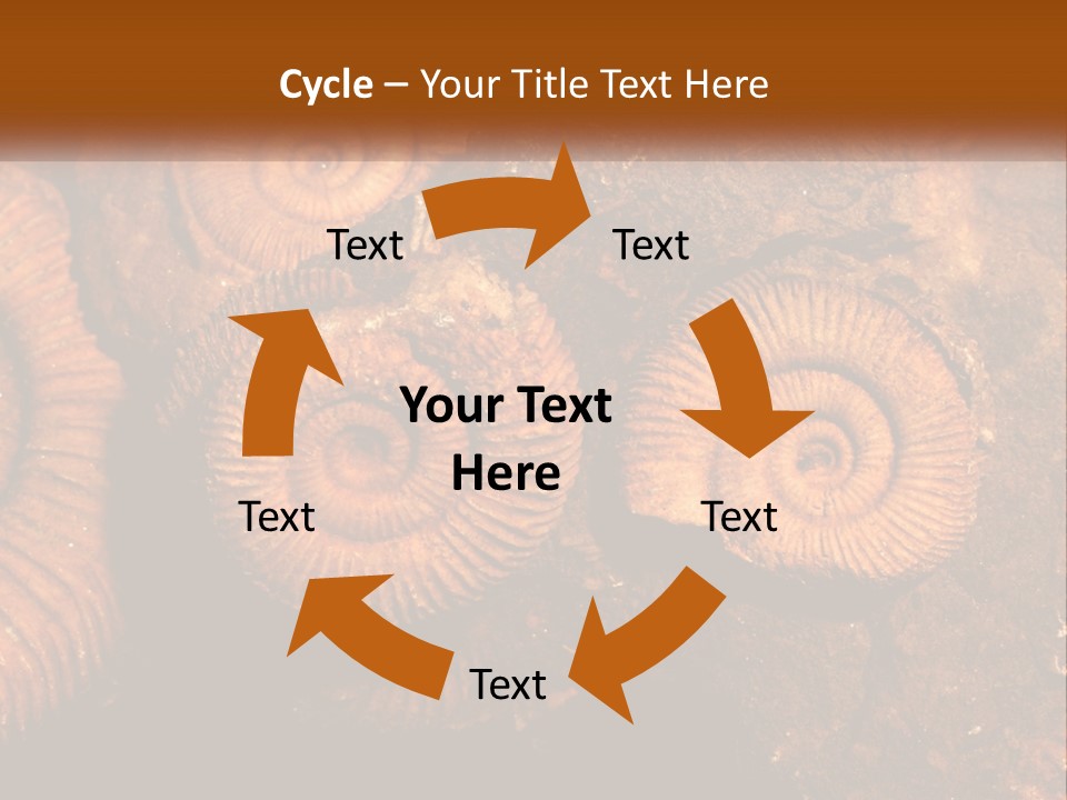 Lifestyle Old Sunrise PowerPoint Template