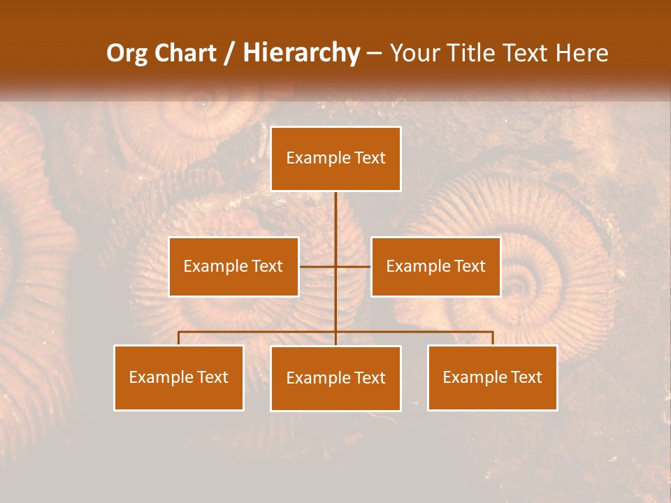 Lifestyle Old Sunrise PowerPoint Template
