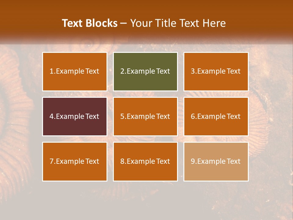 Lifestyle Old Sunrise PowerPoint Template