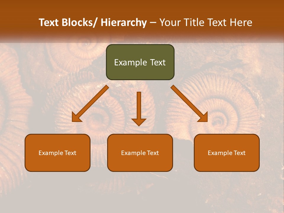 Lifestyle Old Sunrise PowerPoint Template