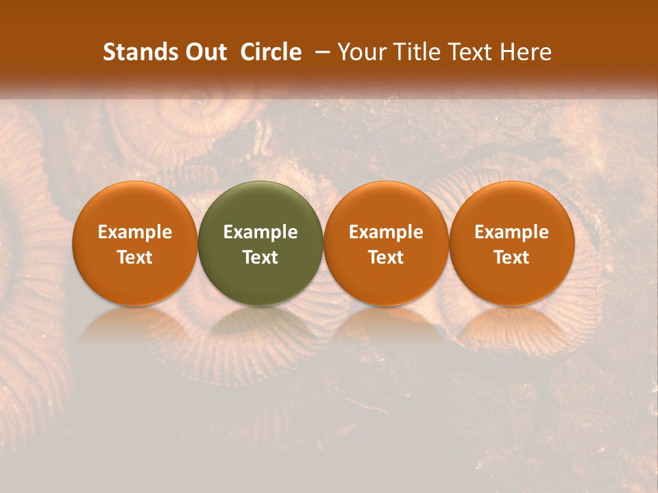 Lifestyle Old Sunrise PowerPoint Template