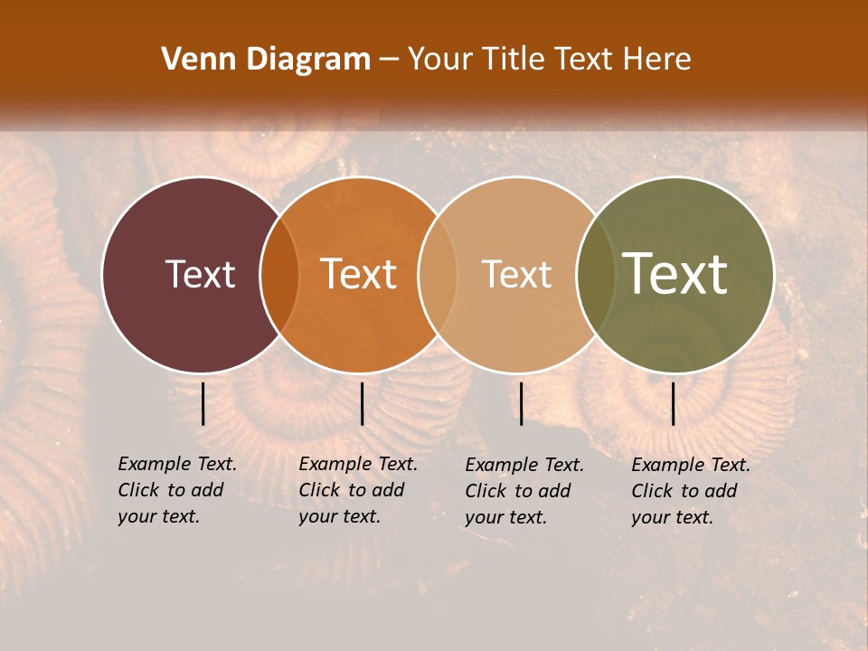 Lifestyle Old Sunrise PowerPoint Template