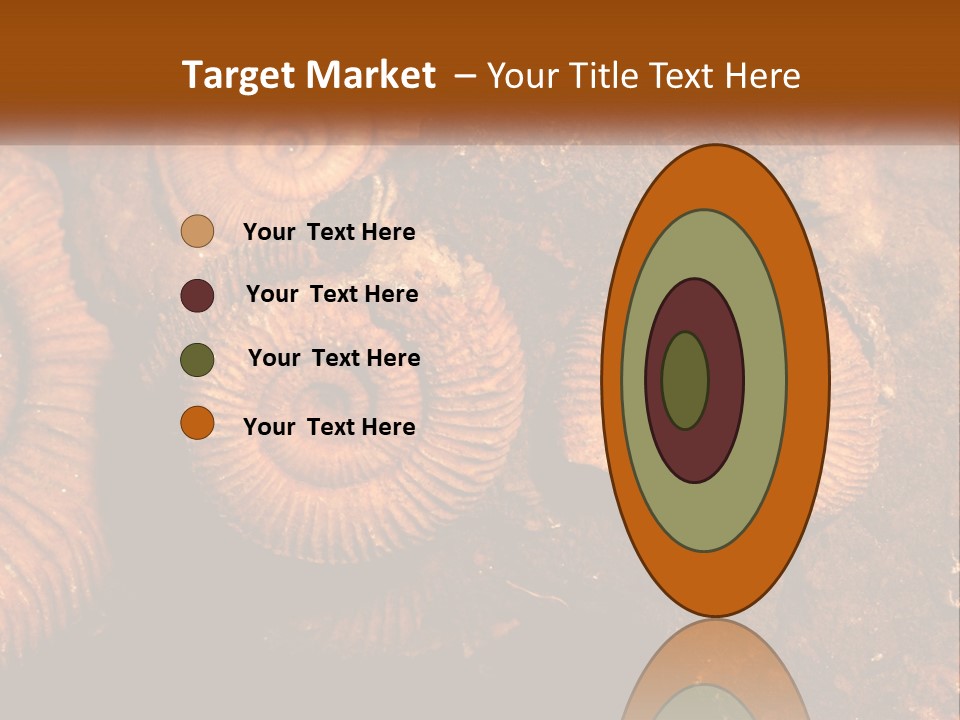 Lifestyle Old Sunrise PowerPoint Template