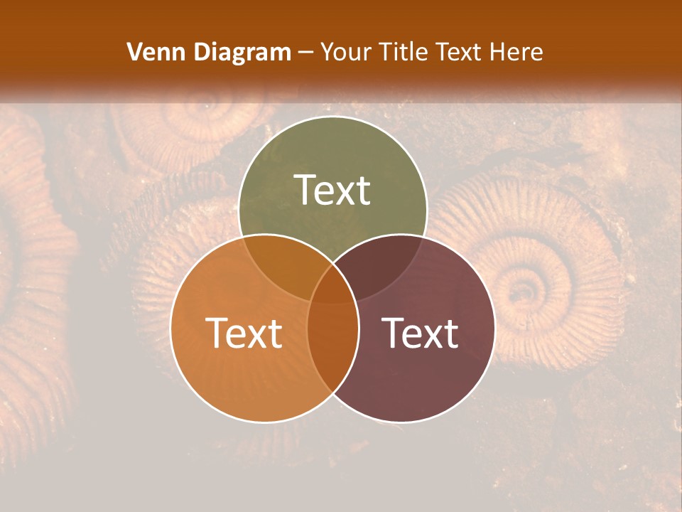 Lifestyle Old Sunrise PowerPoint Template