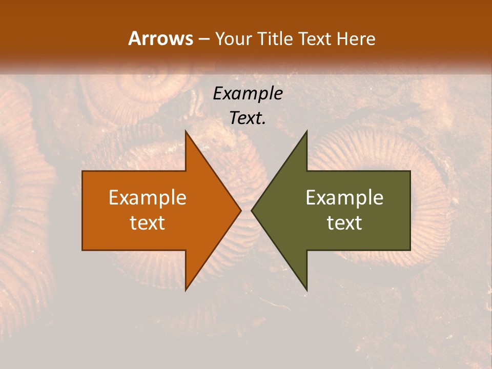 Lifestyle Old Sunrise PowerPoint Template