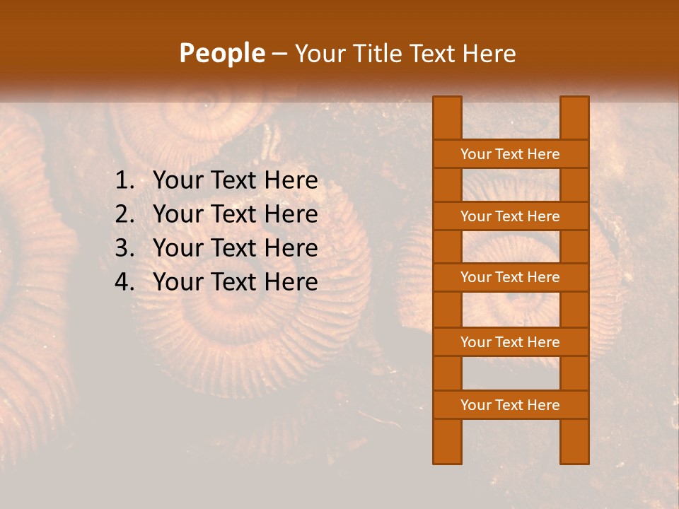 Lifestyle Old Sunrise PowerPoint Template