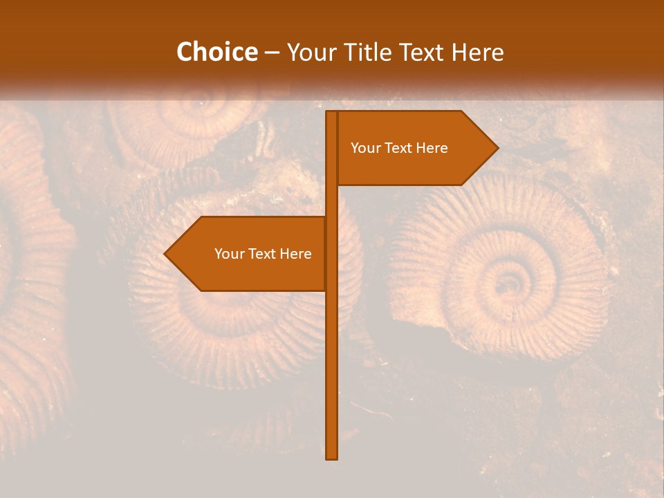 Lifestyle Old Sunrise PowerPoint Template