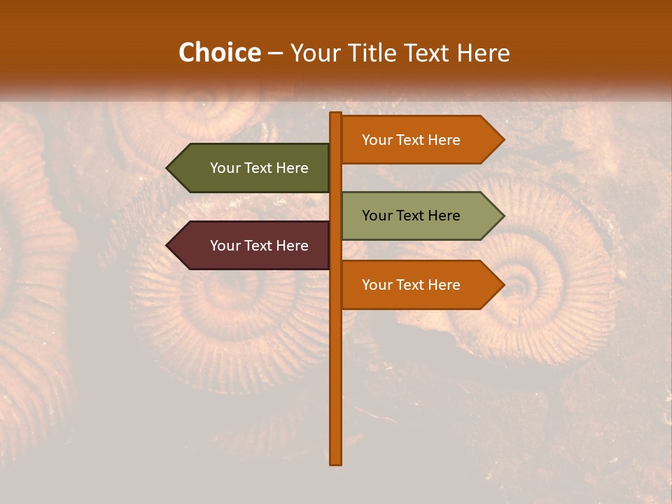 Lifestyle Old Sunrise PowerPoint Template