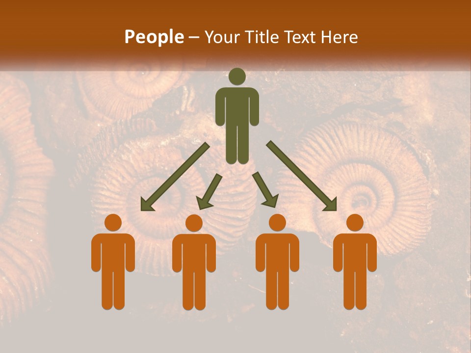 Lifestyle Old Sunrise PowerPoint Template